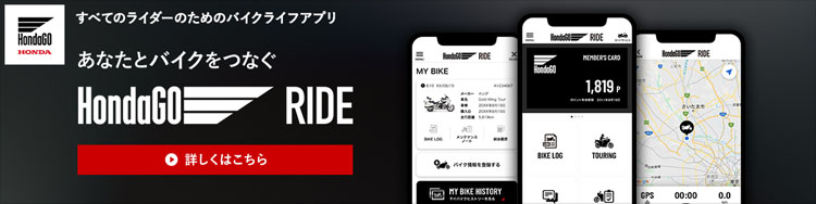 HONDA GO RIDE